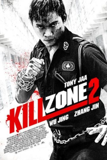 Kill Zone 2 2015 Dual Audio Hindi Chinese Movie