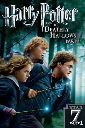 Download Harry Potter and the Deathly Hallows: Part 1 (2010) {Hindi-English} Movie 480p | 720p | 1080p BluRay ESub