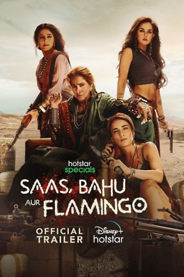 Download Saas Bahu Aur Flamingo