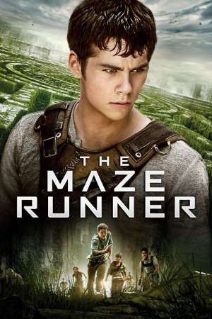 Download The Maze Runner (2014) Dual Audio {Hindi-English} Movie 480p | 720p | 1080p BluRay 350MB | 950MB